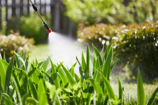 24/7 Emergency Cockroach Control experts in Liberty Corner, NJ