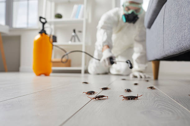 Trusted Rodent Control service in Liberty Corner, NJ - Nex Pest Control